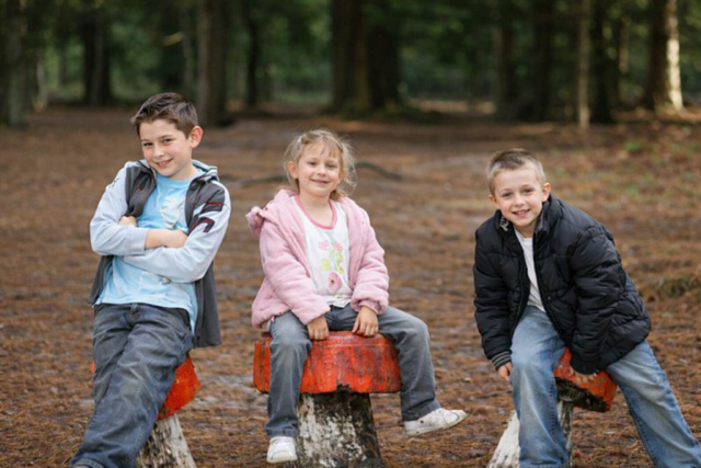 Kinder auf einem Waldspielplatz